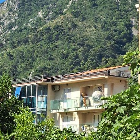 Apartments With Sea View In Prcanj Kotor Dış mekan fotoğraf