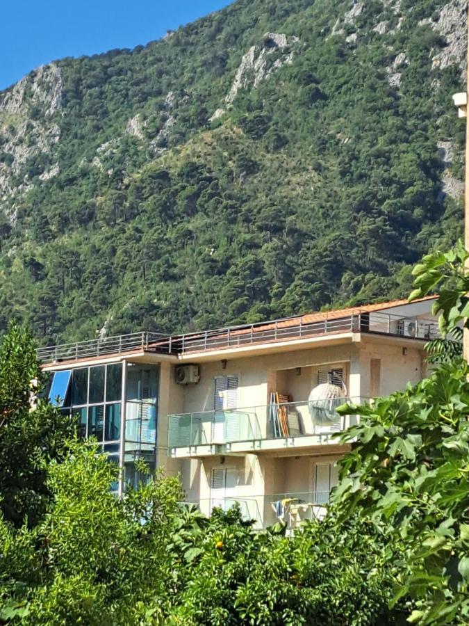 Apartments With Sea View In Prcanj Kotor Dış mekan fotoğraf
